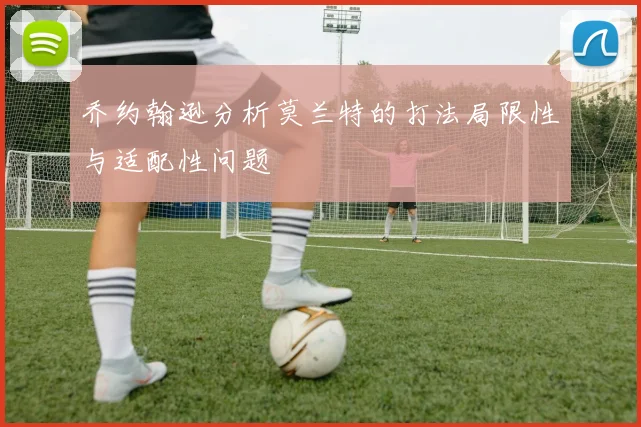 乔约翰逊分析莫兰特的打法局限性与适配性问题